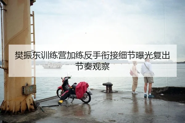 樊振东训练营加练反手衔接细节曝光复出节奏观察